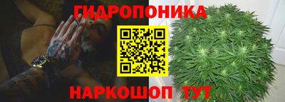 гидра Шелехов