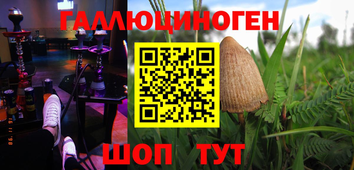 где продают   Галлюциногенные грибы GOLDEN TEACHER  Вход с VPN  Ахтубинск 